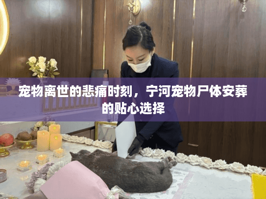 宠物离世的悲痛时刻，宁河宠物尸体安葬的贴心选择