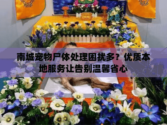 南城宠物尸体处理困扰多？优质本地服务让告别温馨省心