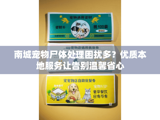 南城宠物尸体处理困扰多？优质本地服务让告别温馨省心