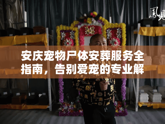 安庆宠物尸体安葬服务全指南，告别爱宠的专业解决方案