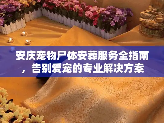 安庆宠物尸体安葬服务全指南，告别爱宠的专业解决方案