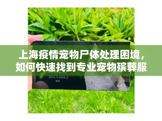 上海疫情宠物尸体处理困境，如何快速找到专业宠物殡葬服务？