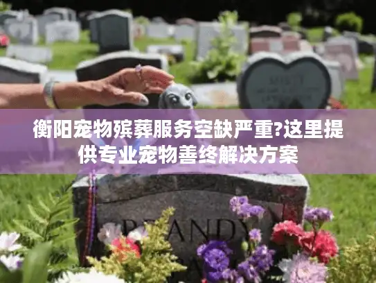 衡阳宠物殡葬服务空缺严重?这里提供专业宠物善终解决方案