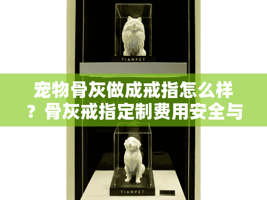 宠物骨灰做成戒指怎么样？骨灰戒指定制费用安全与情感价值深度解析