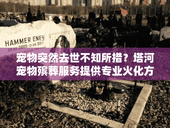 宠物突然去世不知所措？塔河宠物殡葬服务提供专业火化方案