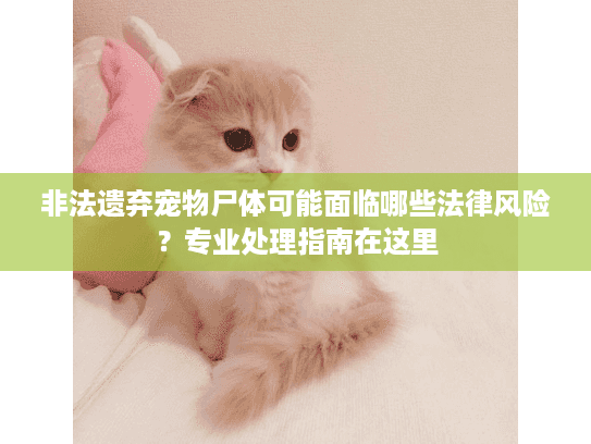 非法遗弃宠物尸体可能面临哪些法律风险？专业处理指南在这里