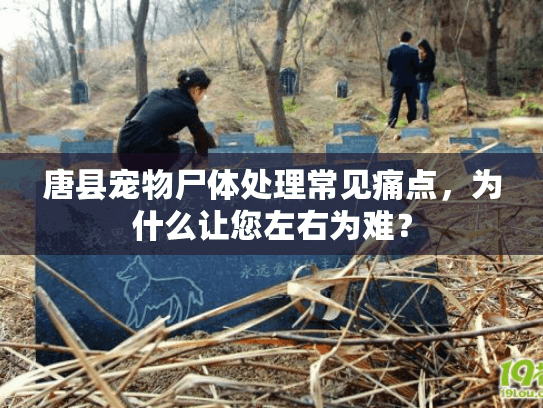 唐县宠物尸体处理常见痛点,为什么让您左右为难? 唐县宠物尸体处理常见痛点,为什么让您左右为难?