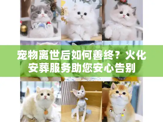 宠物离世后如何善终？火化安葬服务助您安心告别