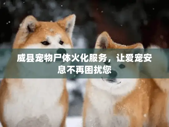 威县宠物尸体火化服务,让爱宠安息不再困扰您 威县宠物尸体火化服务,让爱宠安息不再困扰您