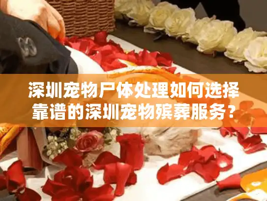 深圳宠物尸体处理如何选择靠谱的深圳宠物殡葬服务？