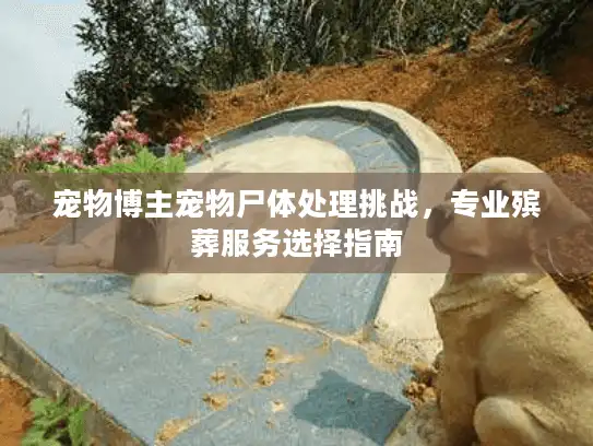 宠物博主宠物尸体处理挑战,专业殡葬服务选择指南 宠物博主宠物尸体处理挑战,专业殡葬服务选择指南