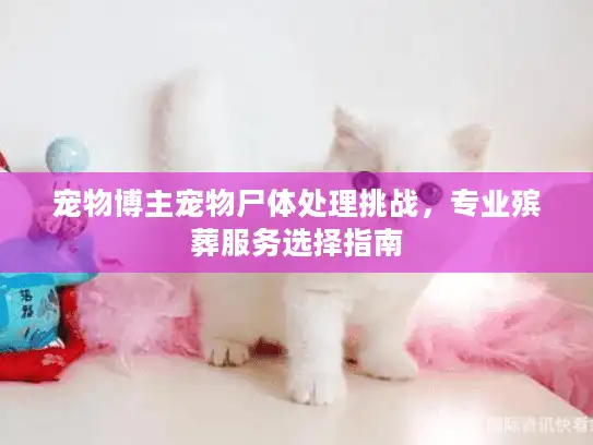 宠物博主宠物尸体处理挑战,专业殡葬服务选择指南 宠物博主宠物尸体处理挑战,专业殡葬服务选择指南