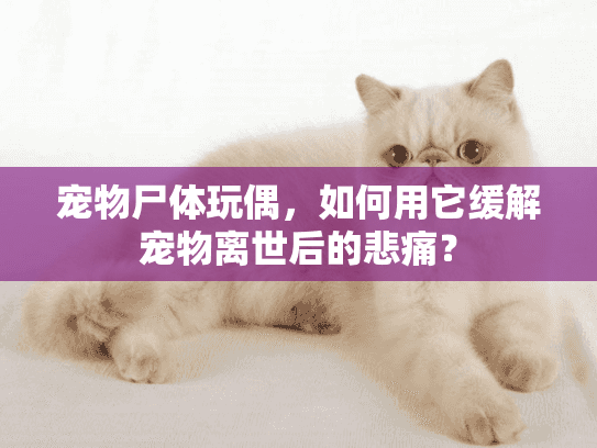 宠物尸体玩偶，如何用它缓解宠物离世后的悲痛？