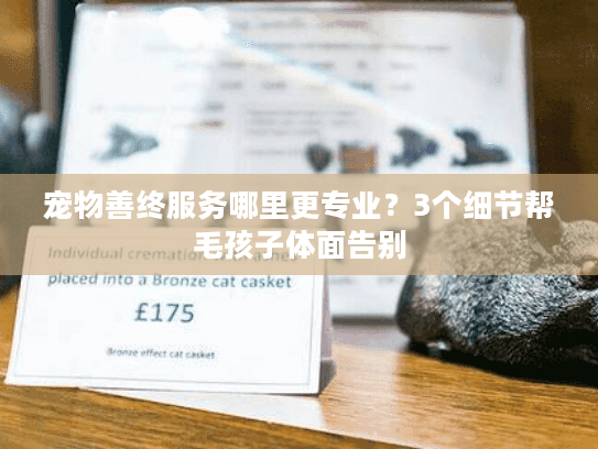 宠物善终服务哪里更专业?3个细节帮毛孩子体面告别 宠物善终服务哪里更专业?3个细节帮毛孩子体面告别