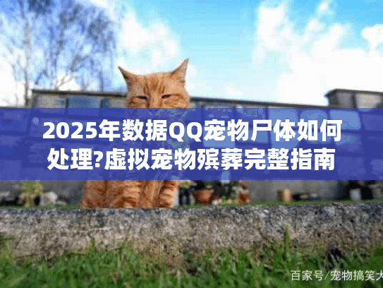 2025年数据QQ宠物尸体如何处理?虚拟宠物殡葬完整指南 2025年数据QQ宠物尸体如何处理?虚拟宠物殡葬完整指南