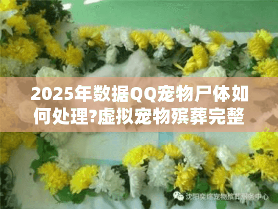 2025年数据QQ宠物尸体如何处理?虚拟宠物殡葬完整指南 2025年数据QQ宠物尸体如何处理?虚拟宠物殡葬完整指南