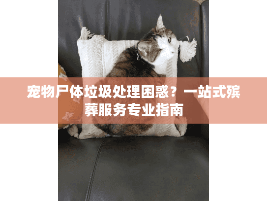 宠物尸体垃圾处理困惑？一站式殡葬服务专业指南