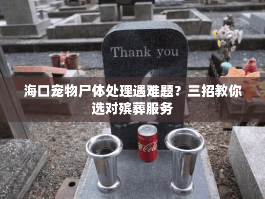 海口宠物尸体处理遇难题?三招教你选对殡葬服务 海口宠物尸体处理遇难题?三招教你选对殡葬服务