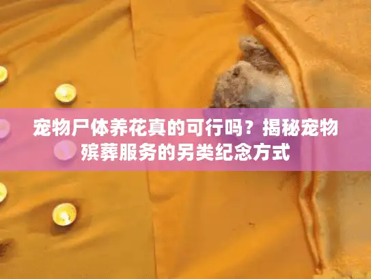 宠物尸体养花真的可行吗?揭秘宠物殡葬服务的另类纪念方式 宠物尸体养花真的可行吗?揭秘宠物殡葬服务的另类纪念方式