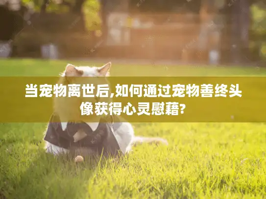 当宠物离世后,如何通过宠物善终头像获得心灵慰藉? 当宠物离世后,如何通过宠物善终头像获得心灵慰藉?