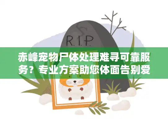 赤峰宠物尸体处理难寻可靠服务？专业方案助您体面告别爱宠