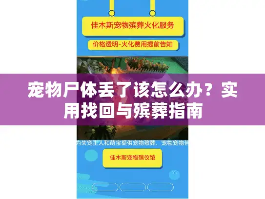 宠物尸体丢了该怎么办？实用找回与殡葬指南