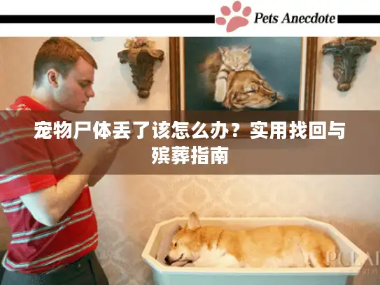 宠物尸体丢了该怎么办？实用找回与殡葬指南