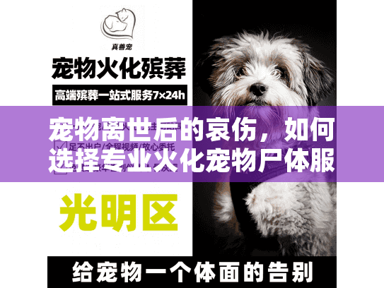 宠物离世后的哀伤，如何选择专业火化宠物尸体服务？