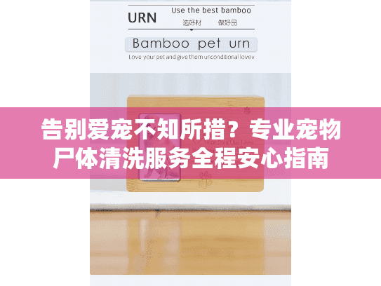 告别爱宠不知所措?专业宠物尸体清洗服务全程安心指南 告别爱宠不知所措?专业宠物尸体清洗服务全程安心指南