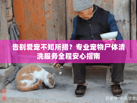 告别爱宠不知所措?专业宠物尸体清洗服务全程安心指南 告别爱宠不知所措?专业宠物尸体清洗服务全程安心指南