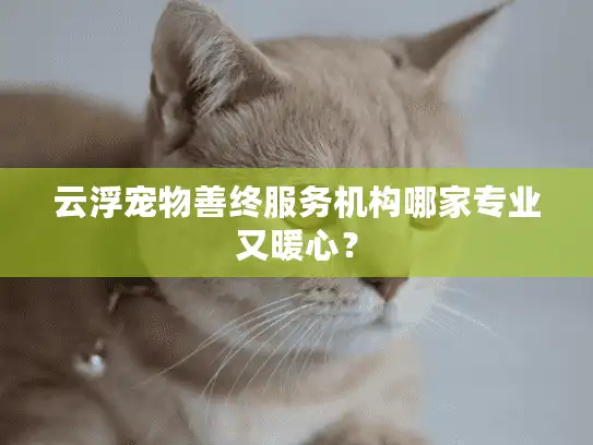 云浮宠物善终服务机构哪家专业又暖心？