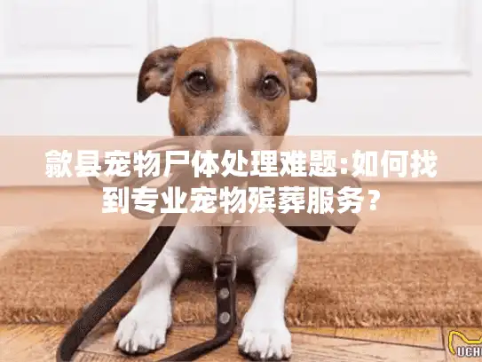 歙县宠物尸体处理难题:如何找到专业宠物殡葬服务? 歙县宠物尸体处理难题:如何找到专业宠物殡葬服务?