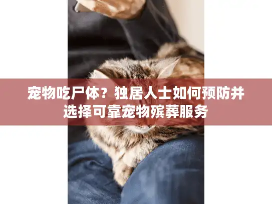 宠物吃尸体？独居人士如何预防并选择可靠宠物殡葬服务