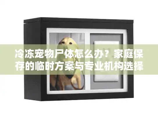 冷冻宠物尸体怎么办?家庭保存的临时方案与专业机构选择指南 冷冻宠物尸体怎么办?家庭保存的临时方案与专业机构选择指南