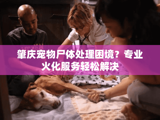 肇庆宠物尸体处理困境？专业火化服务轻松解决