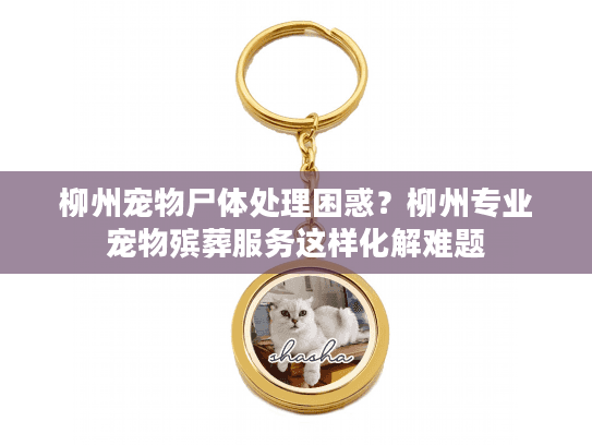 柳州宠物尸体处理困惑？柳州专业宠物殡葬服务这样化解难题