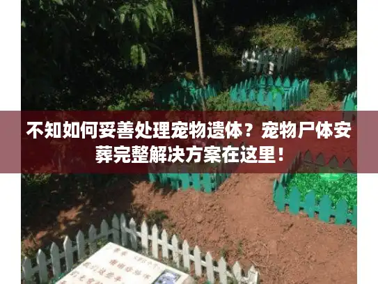 不知如何妥善处理宠物遗体？宠物尸体安葬完整解决方案在这里！