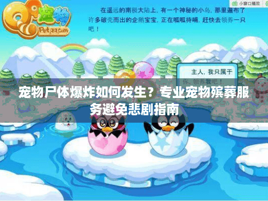 宠物尸体爆炸如何发生？专业宠物殡葬服务避免悲剧指南