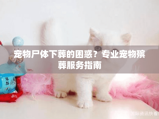 宠物尸体下葬的困惑?专业宠物殡葬服务指南 宠物尸体下葬的困惑?专业宠物殡葬服务指南