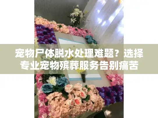 宠物尸体脱水处理难题?选择专业宠物殡葬服务告别痛苦 宠物尸体脱水处理难题?选择专业宠物殡葬服务告别痛苦