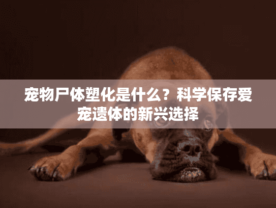 宠物尸体塑化是什么？科学保存爱宠遗体的新兴选择