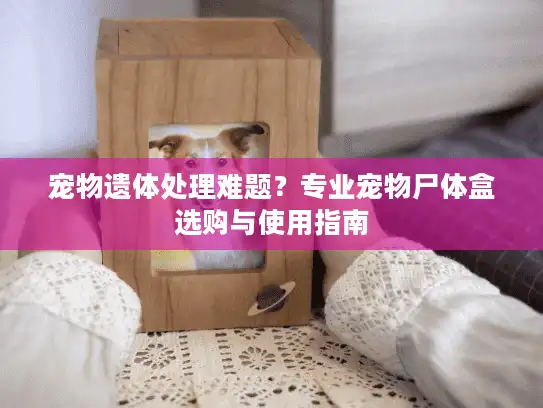 宠物遗体处理难题？专业宠物尸体盒选购与使用指南