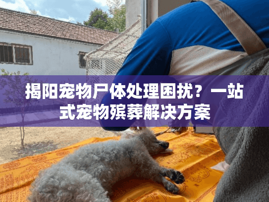 揭阳宠物尸体处理困扰？一站式宠物殡葬解决方案