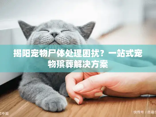 揭阳宠物尸体处理困扰？一站式宠物殡葬解决方案