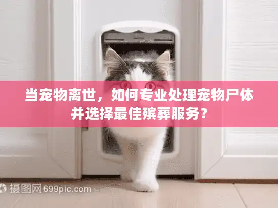 当宠物离世,如何专业处理宠物尸体并选择最佳殡葬服务? 当宠物离世,如何专业处理宠物尸体并选择最佳殡葬服务?