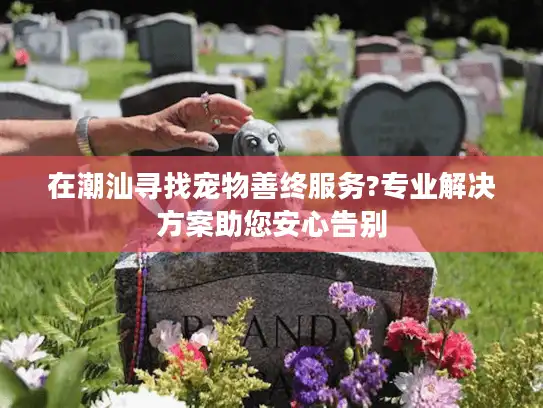 在潮汕寻找宠物善终服务?专业解决方案助您安心告别