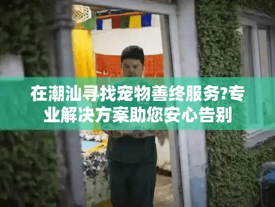 在潮汕寻找宠物善终服务?专业解决方案助您安心告别