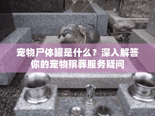 宠物尸体罐是什么？深入解答你的宠物殡葬服务疑问