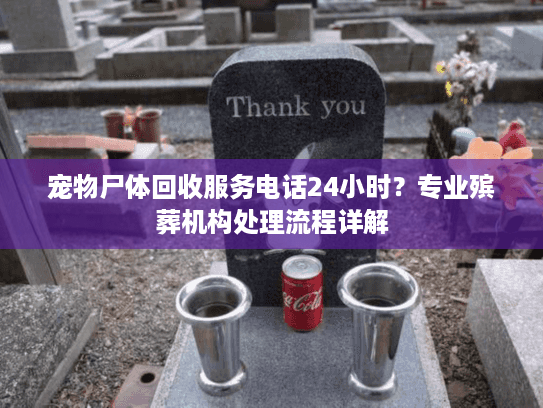 宠物尸体回收服务电话24小时？专业殡葬机构处理流程详解
