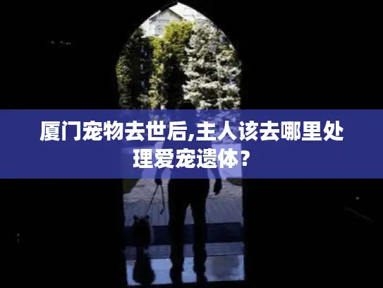 厦门宠物去世后,主人该去哪里处理爱宠遗体? 厦门宠物去世后,主人该去哪里处理爱宠遗体?